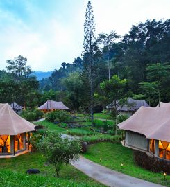 Tiarasa Escapes, Janda Baik