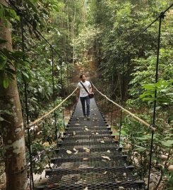 The Sticks, Selangor