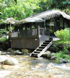 Tanah Aina Fahad Ulu Dong, Pahang