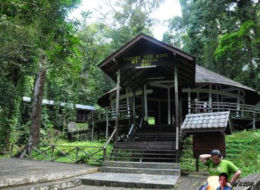 Peak Mountain Singai, Sarawak
