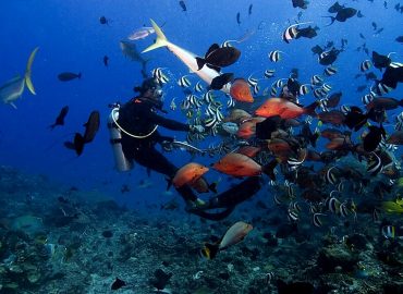 Go Asia Diving, Selangor