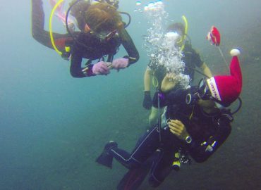 Divertainment Sdn. Bhd. (PADI 5* Dive Center), Selangor