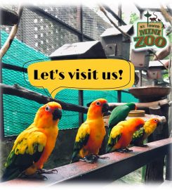 KL Tower Mini Zoo, Kuala Lumpur