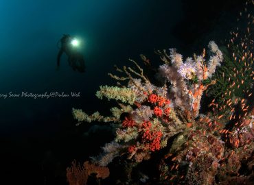 Dive Station Explorer Sdn Bhd, Kuala Lumpur