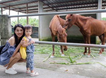 Sri Tanjung Leisure Farm, Johor