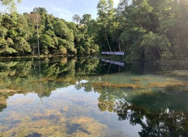 Kota Damansara Community Forest Reserve, Selangor