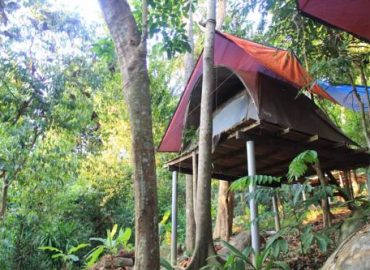 Rainforest Campsite, Terengganu