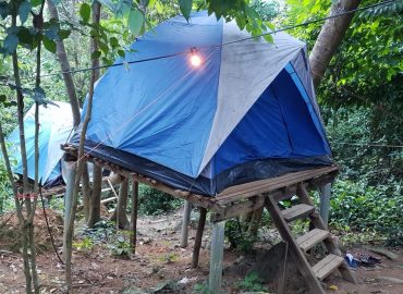Rainforest Campsite, Terengganu