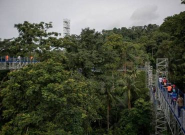 Forest Skywalk – FRIM, Selangor