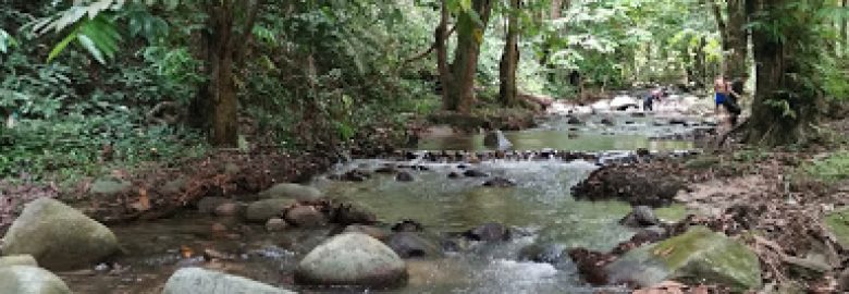Sungai Congkak Recreational Forest, Selangor