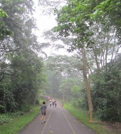 Kiara Hill Walk, Kuala Lumpur