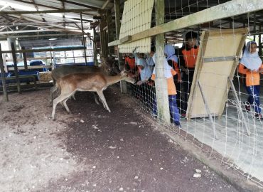 Bukit Besi Agro Exotic Farm