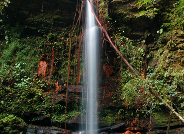 Lambir Hills National Park, Sarawak