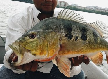 Prima Fishing, Selangor