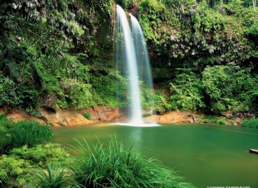 Lambir Hills National Park, Sarawak