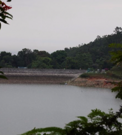 Air Itam Dam, Penang