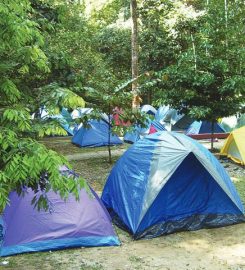 FRIM Camping Area, Selangor