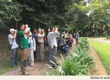 Kepong Botanic Gardens, Selangor