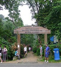 Gasing Hills, Selangor