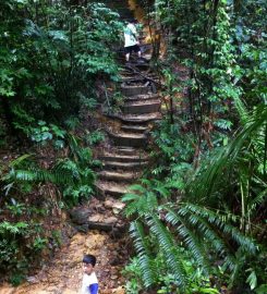 Gasing Hills, Selangor
