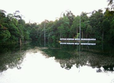 Kota Damansara Community Forest Reserve, Selangor