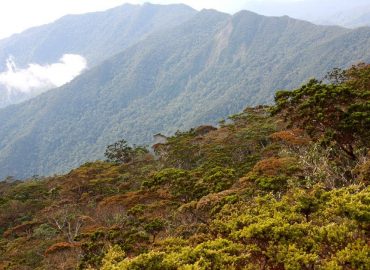 Mount Tambuyukon, Sabah