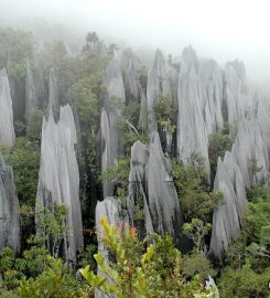Gunung Mulu National Park, Sarawak
