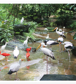 Taman Burung Kuala Lumpur, Kuala Lumpur