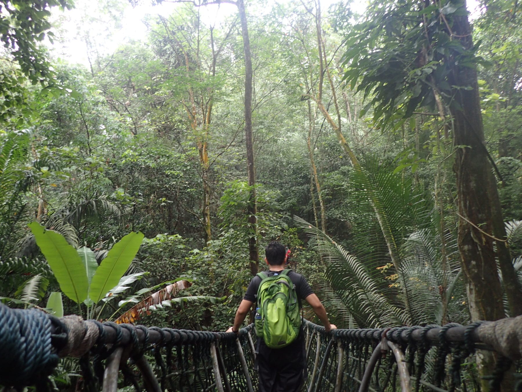 The Ultimate Guide To Hiking Places In Kuala Lumpur Ptt Outdoor